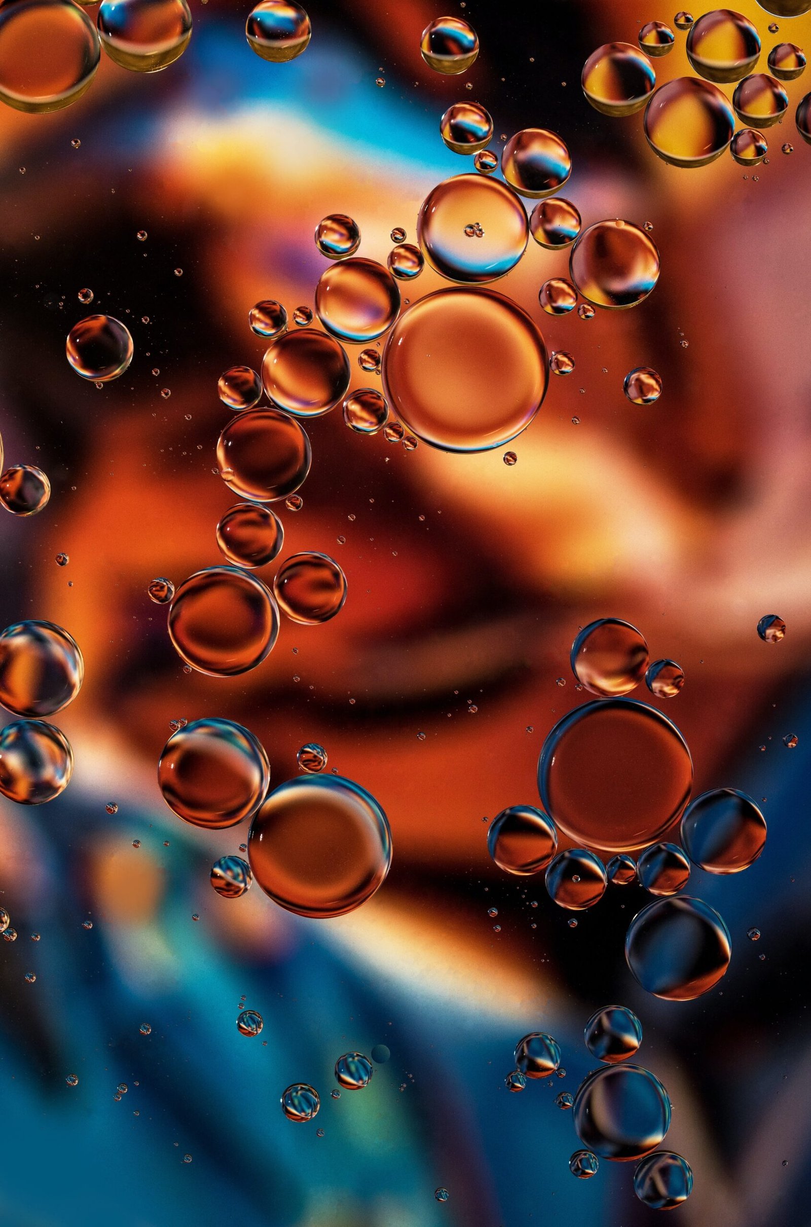 Step-by-Step Guide: Changing Your Cars Oil